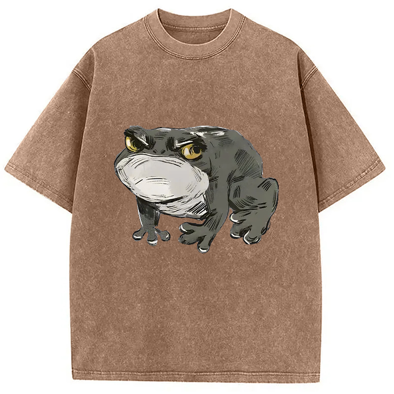 Modecanvas Japanese Frog Retro Washed T-Shirt