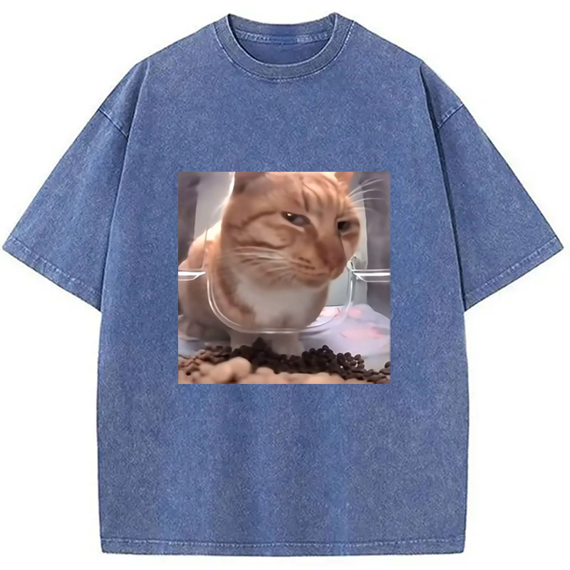 Modecanvas Funny Cat Meme Washed T-Shirt