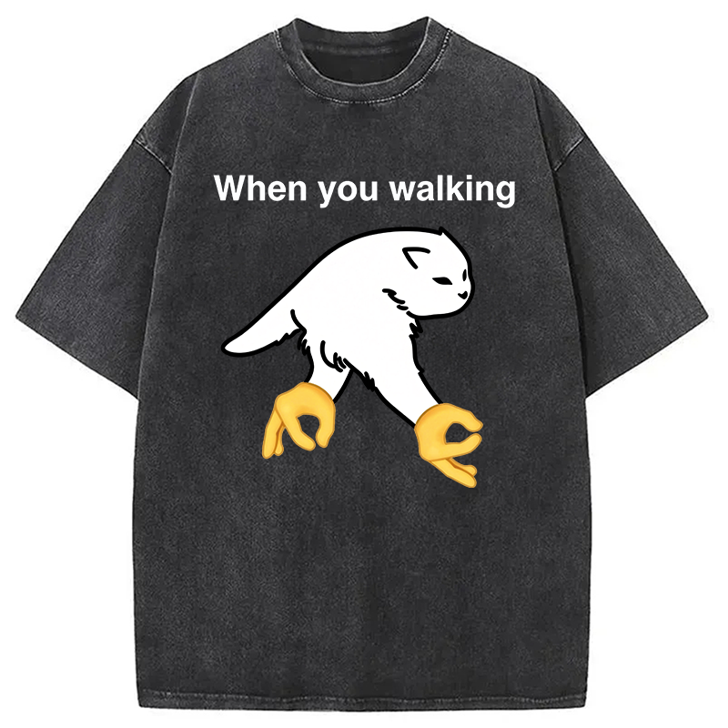 Modecanvas When You Walking Cursed Cat Meme DTG Printing Washed T-Shirt