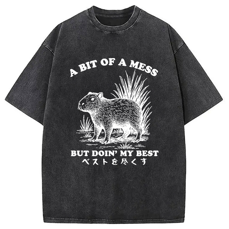 Modecanvas Capybara Doing Its Best Washed T-Shirt