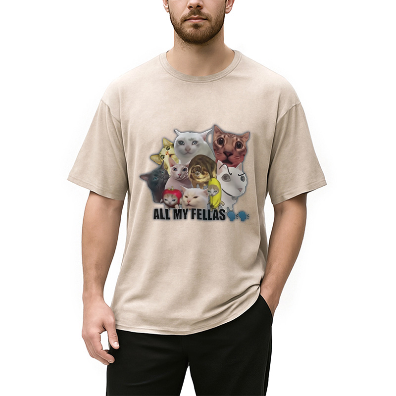 Modecanvas All My Fellas Internet Cats Meme Washed T-Shirt