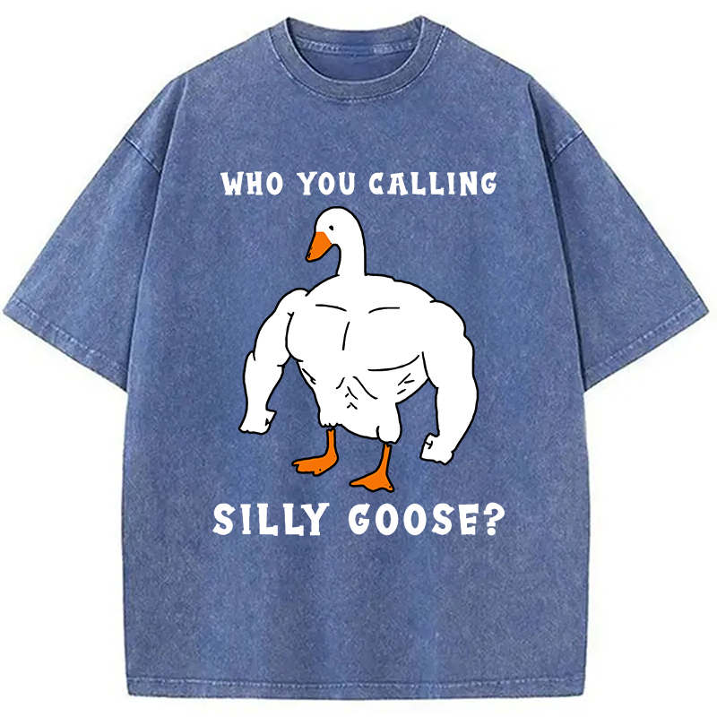 Modecanvas Who You Calling Silly Goose Funny Gym Meme Washed T-Shirt
