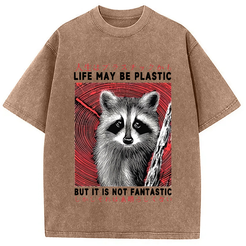 Modecanvas Raccoon Vintage Japanese Washed T-Shirt