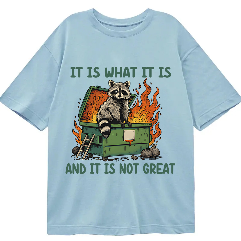Modecanvas It Is What It Is Dumpster Fire Funny Raccoon Meme DTG Printing Classic T-Shirt-modecanvas
