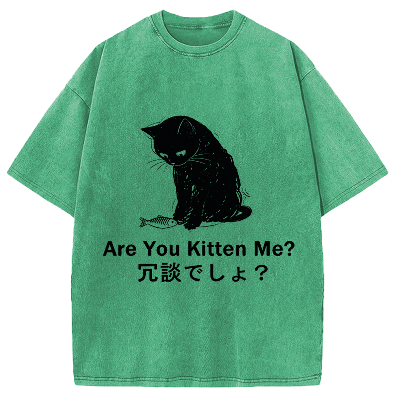 Modecanvas Are You Kitten Me DTG Printing Washed T-Shirt