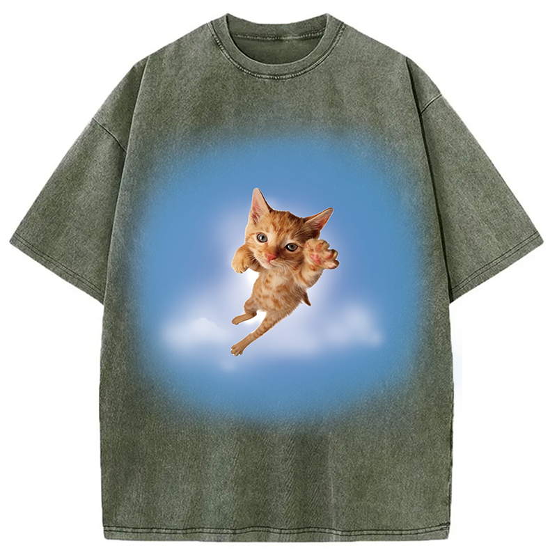 Modecanvas Pounce? More Like flounce DTG Printing Washed T-Shirt