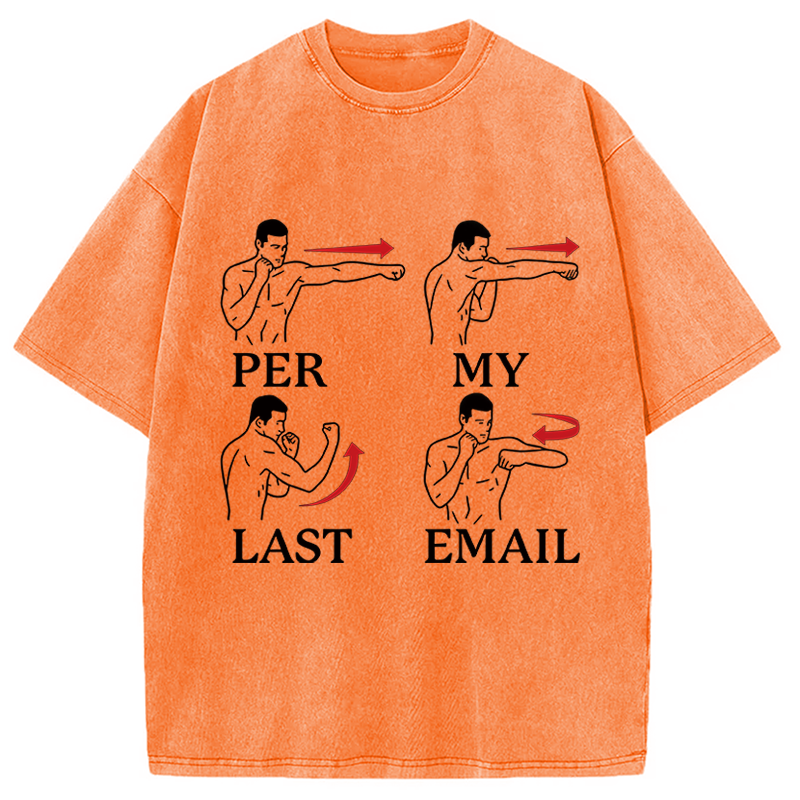 Modecanvas Per My Last Email Funny DTG Printing Washed T-Shirt-modecanvas