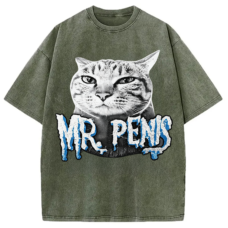 Modecanvas Mr Pen is Cat DTG Printing Washed T-Shirt