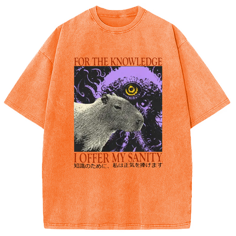 Modecanvas I Offer My Sanity Vintage Japanese Capybara Washed T-Shirt