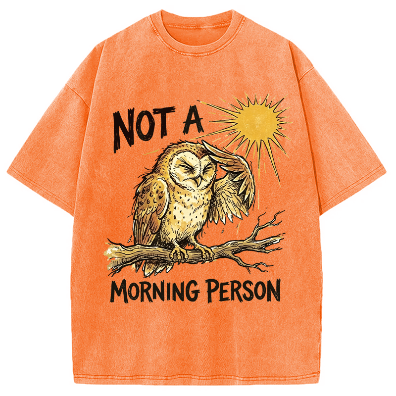 Modecanvas Grumpy Owl Not A Morning Person Funny DTG Printing Washed T-Shirt