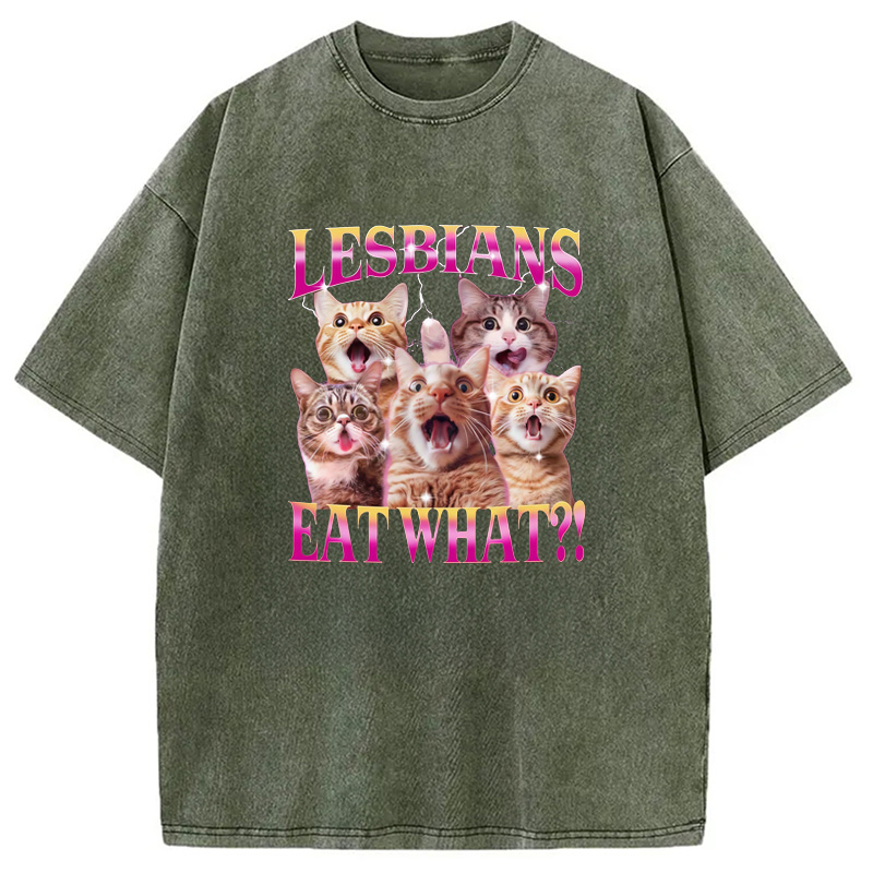 Modecanvas Funny Lesbian Cat Washed T-Shirt