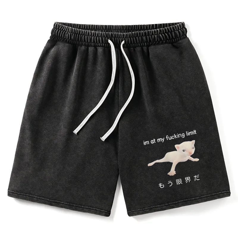 Modecanvas Cat Reaching Its Limit Washed Short