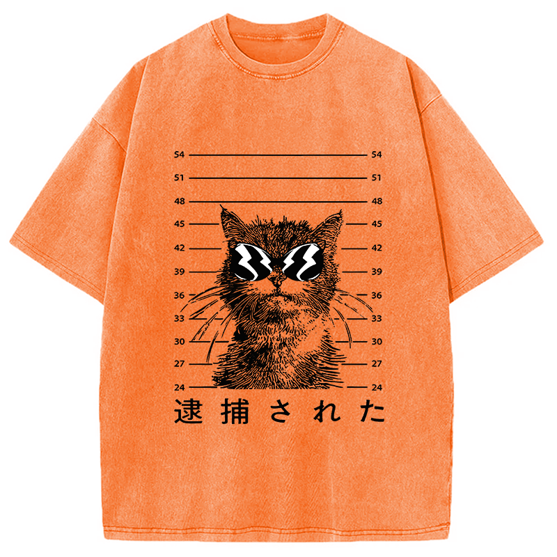 Modecanvas Cat Was Arrested  Washed T-Shirt
