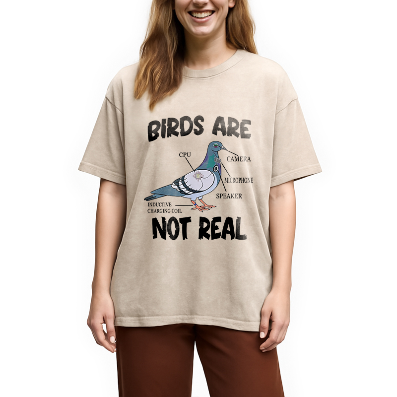 Modecanvas Pigeon Birds Are Not Real Funny DTG Printing Washed T-Shirt