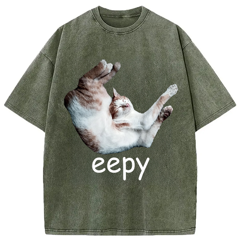 Modecanvas Silly Sleepy Cat Meme DTG Printing Washed T-Shirt