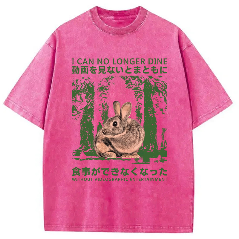 Modecanvas Vintage Japanese Horror Bunny DTG Printing Washed T-Shirt