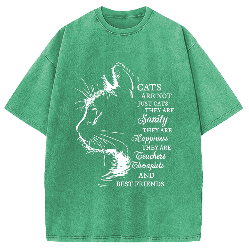 Modecanvas Cat Best Friend DTG Printing Washed T-Shirt