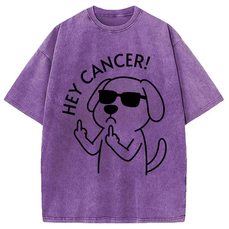Modecanvas Hey Dog Cancer DTG Printing Washed T-Shirt
