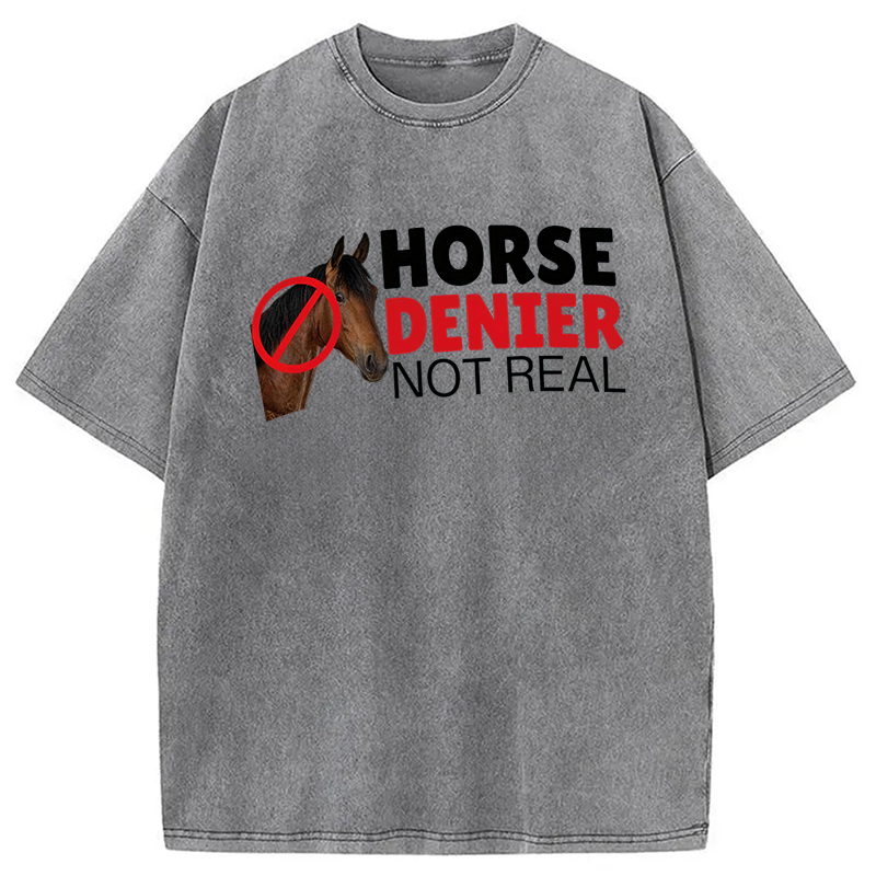 Modecanvas Horse Denier They Are Not Real DTG Printing Washed T-Shirt