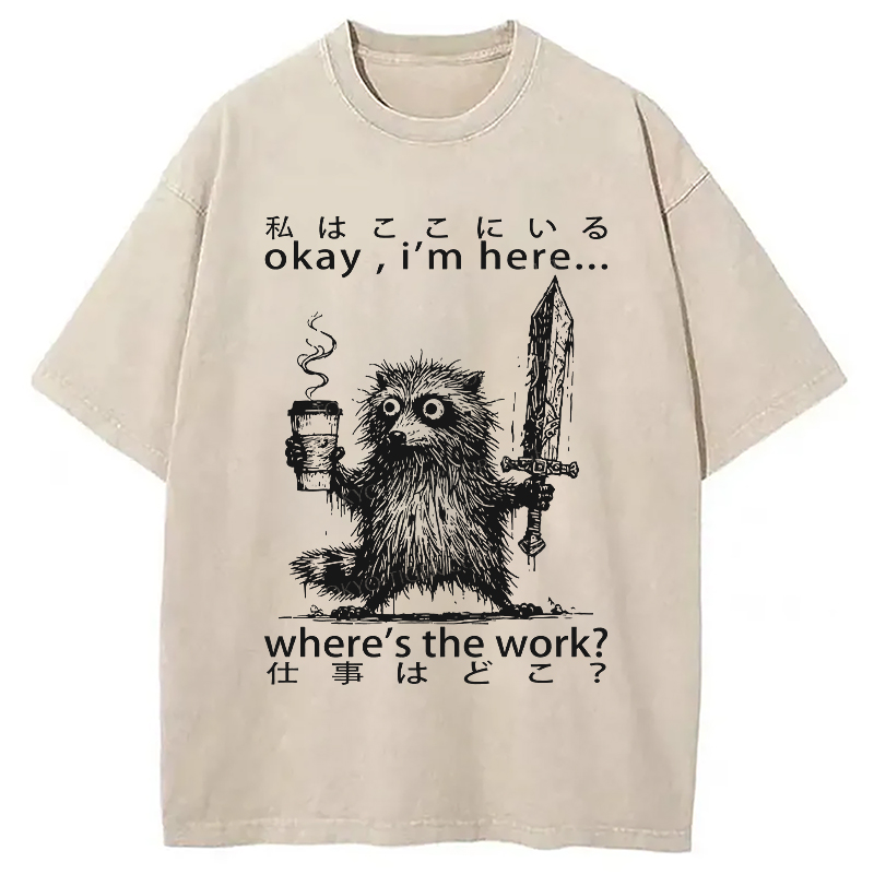 Modecanvas Raccoon Ready To Work Washed T-Shirt
