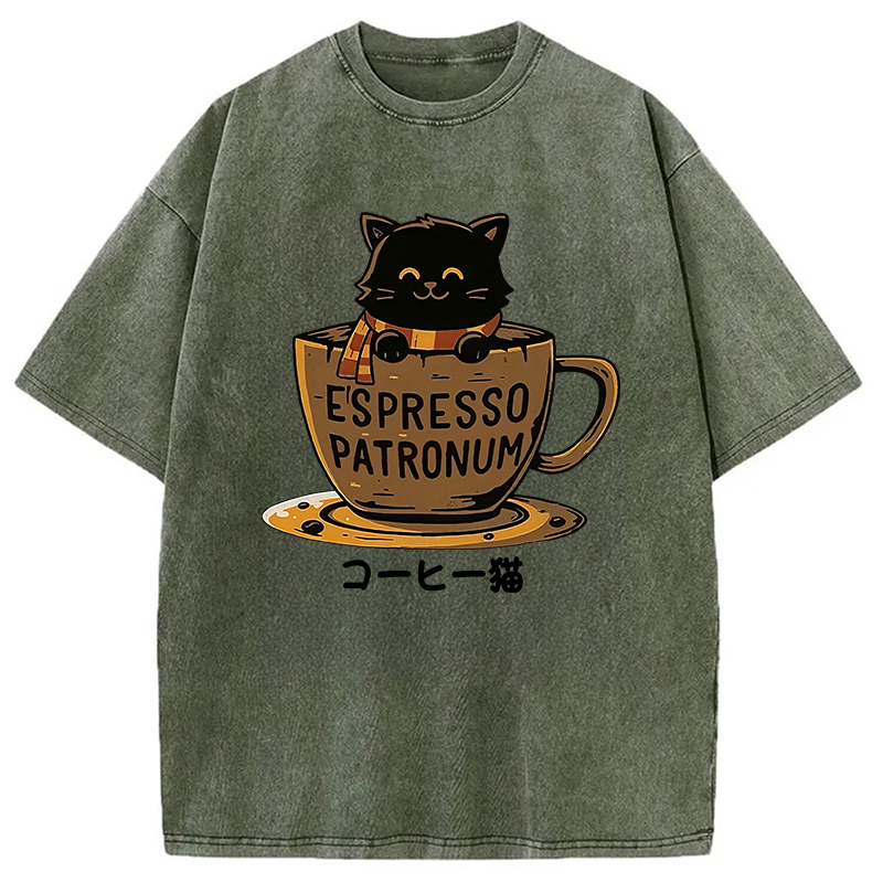 Modecanvas Cat In A Coffee Cup Washed T-Shirt