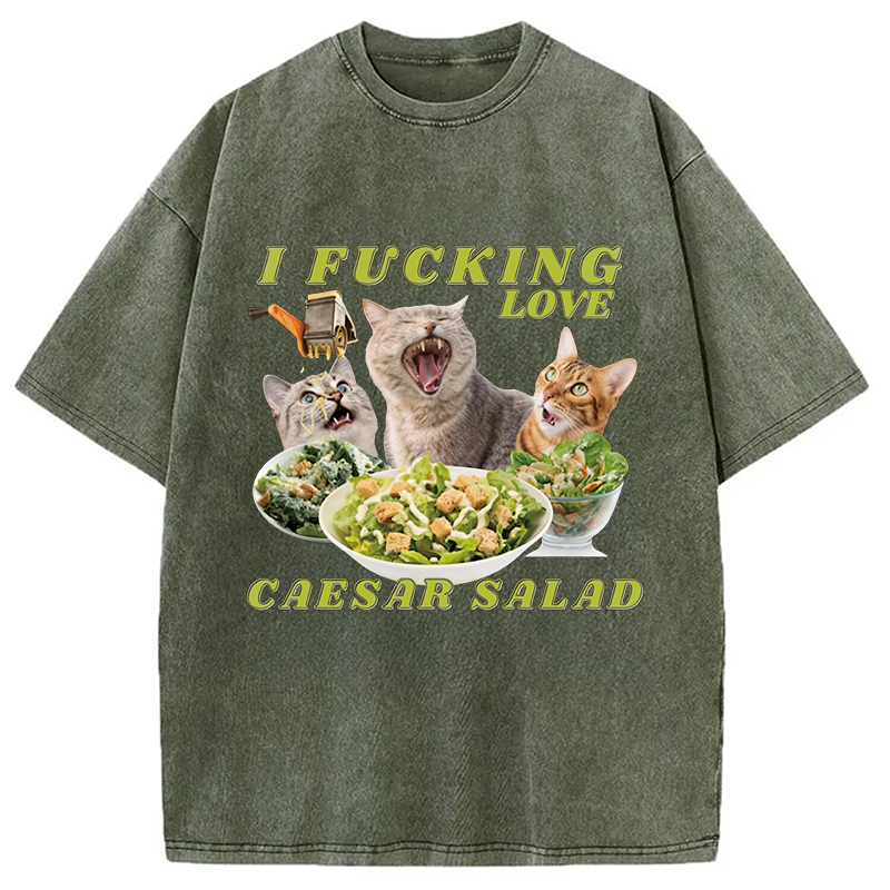 Modecanvas I Fucking Love Caesar Salad Cat Meme DTG Printing Washed T-Shirt