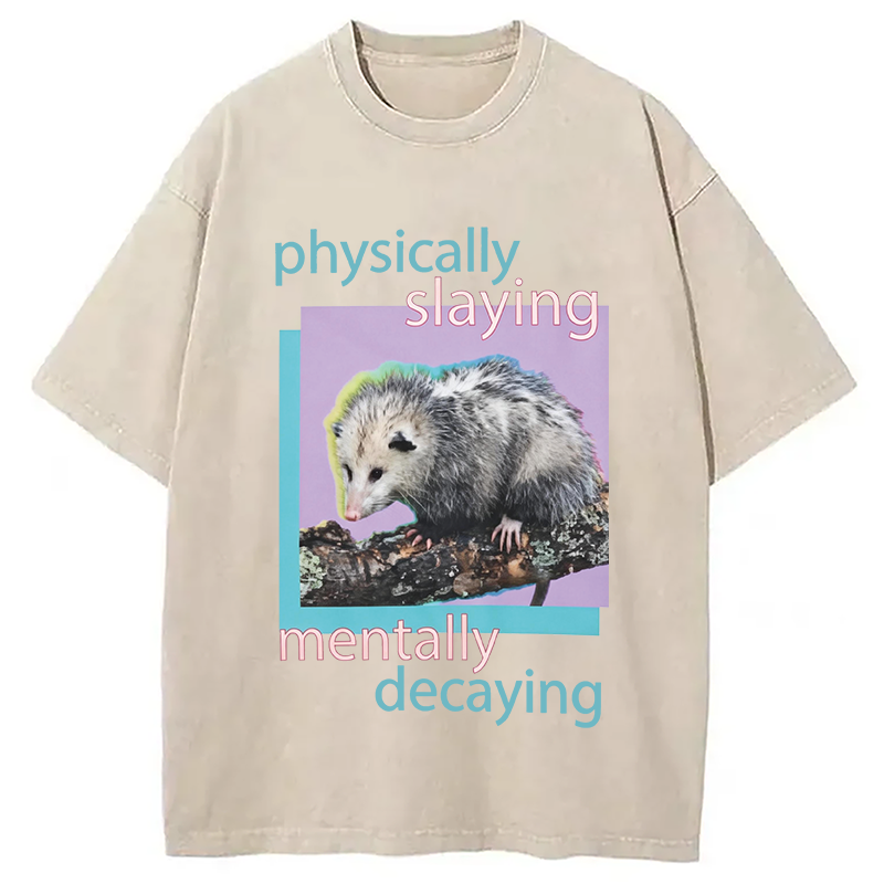 Modecanvas Physically Slaying Mentally Decaying DTG Printing Washed T-Shirt