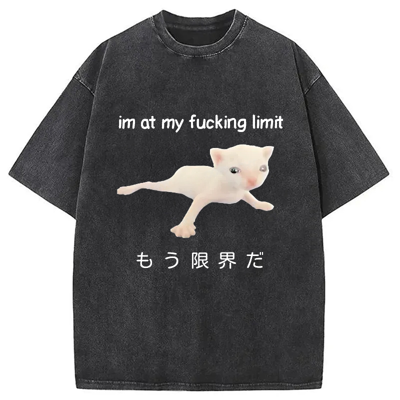 Modecanvas Cat Reaching Its Limit Washed T-Shirt-modecanvas