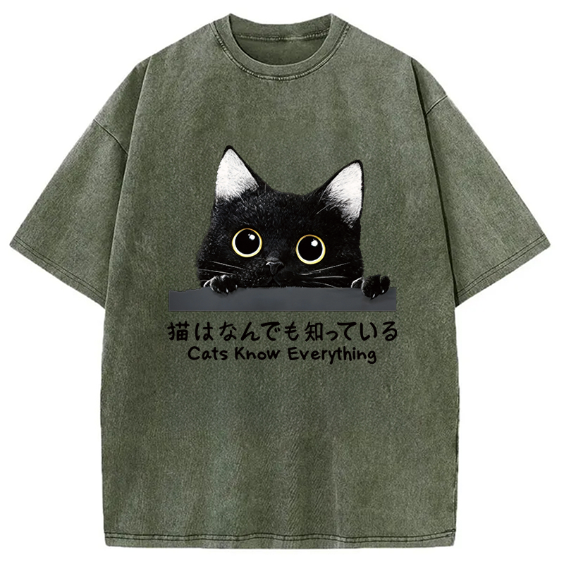 Modecanvas Cats Know Everything DTG Printing Washed T-Shirt-modecanvas