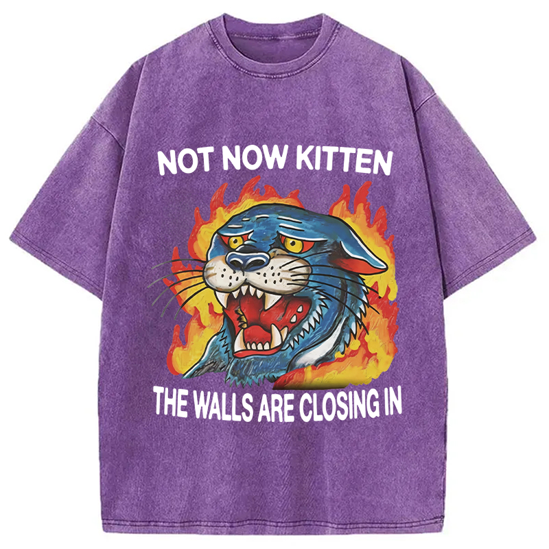 Modecanvas Not Now Kitten DTG Printing Washed T-Shirt