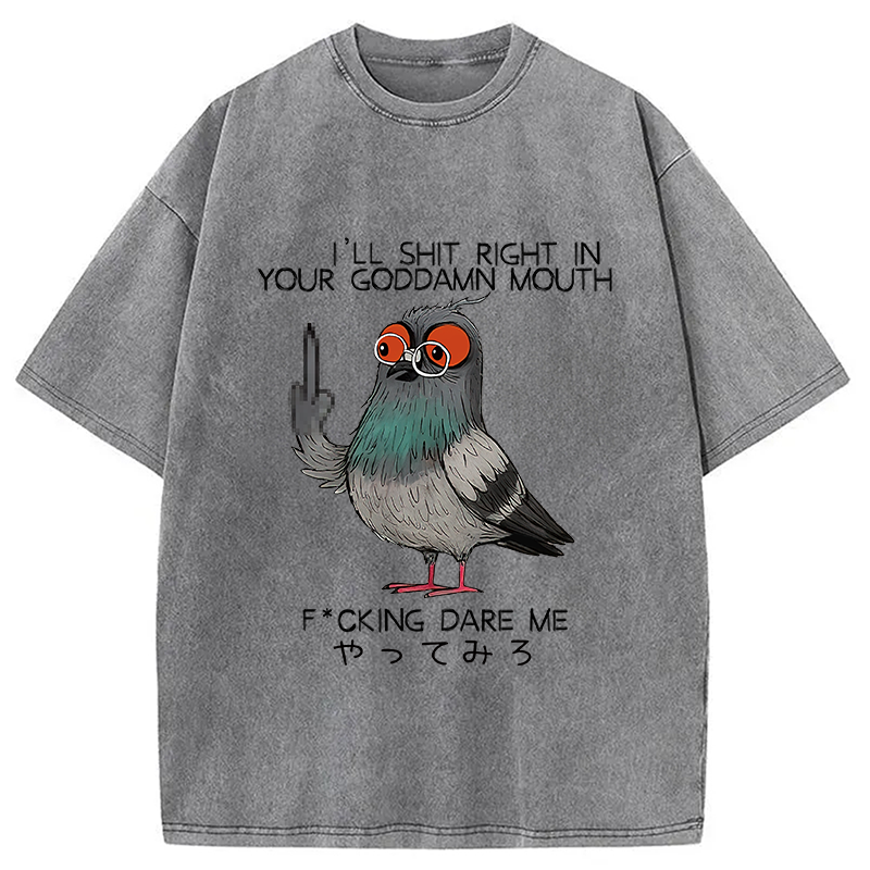 Modecanvas Angry Pigeon Washed T-Shirt