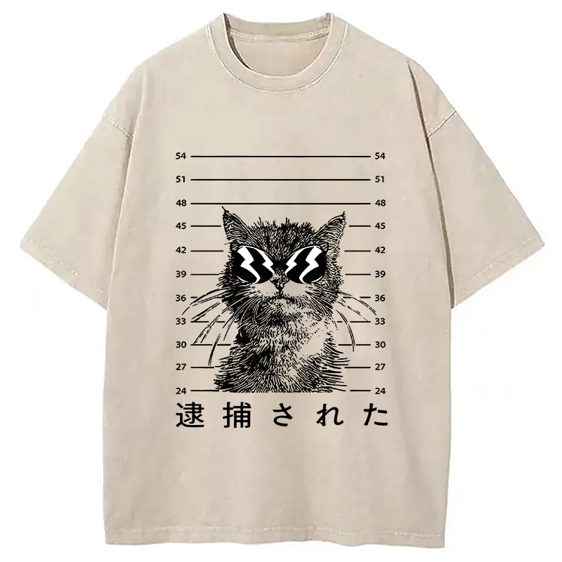 Modecanvas Cat Was Arrested  Washed T-Shirt