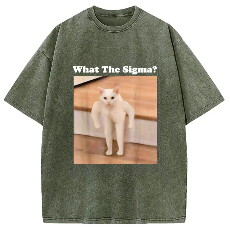 Modecanvas What Sigma Cat Meme Washed T-Shirt