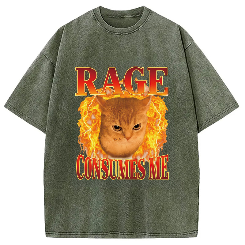 Modecanvas Rage Consumes Me Edgy Funny Cat Meme Washed T-Shirt-modecanvas