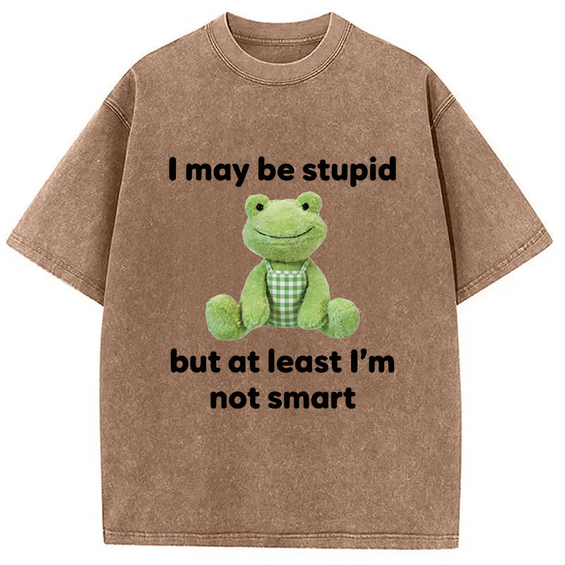 Modecanvas I May Be Stupid Alcohol Lover DTG Printing Washed T-Shirt