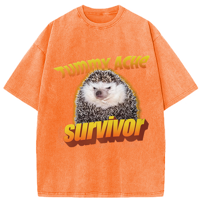Modecanvas Tummy Ache Survivor Meme Washed T-Shirt-modecanvas