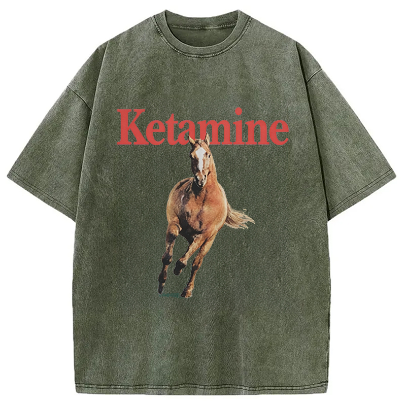 Modecanvas Ketamine Horse Run DTG Printing Washed T-Shirt