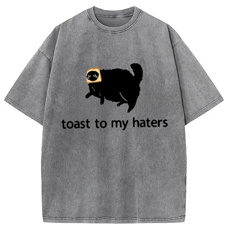 Modecanvas Toast To My Haters Washed T-Shirt