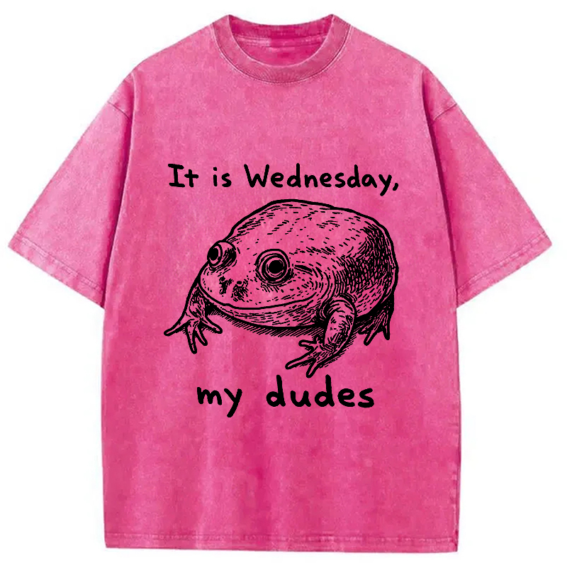 Modecanvas Wednesday Frog Vintage Washed T-Shirt-modecanvas