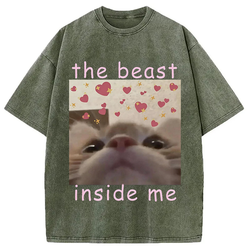 Modecanvas The beast inside me Cat Meme DTG Printing Washed T-Shirt