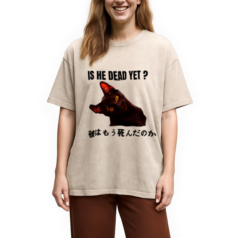 Modecanvas Is He Dead Yet Washed T-Shirt