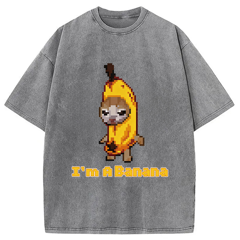 Modecanvas Banana Cat DTG Printing Washed T-Shirt