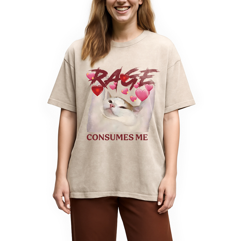 Modecanvas Rage Consumes Me Funny Cat Meme DTG Printing Washed T-Shirt
