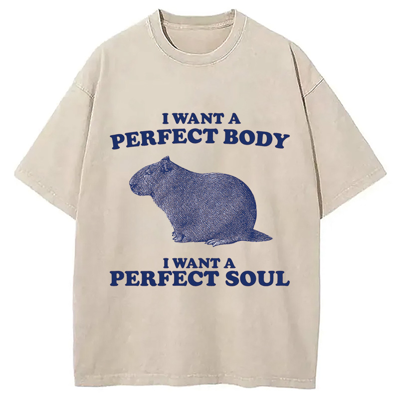 Modecanvas Capybara I Want A Perfect Washed T-Shirt