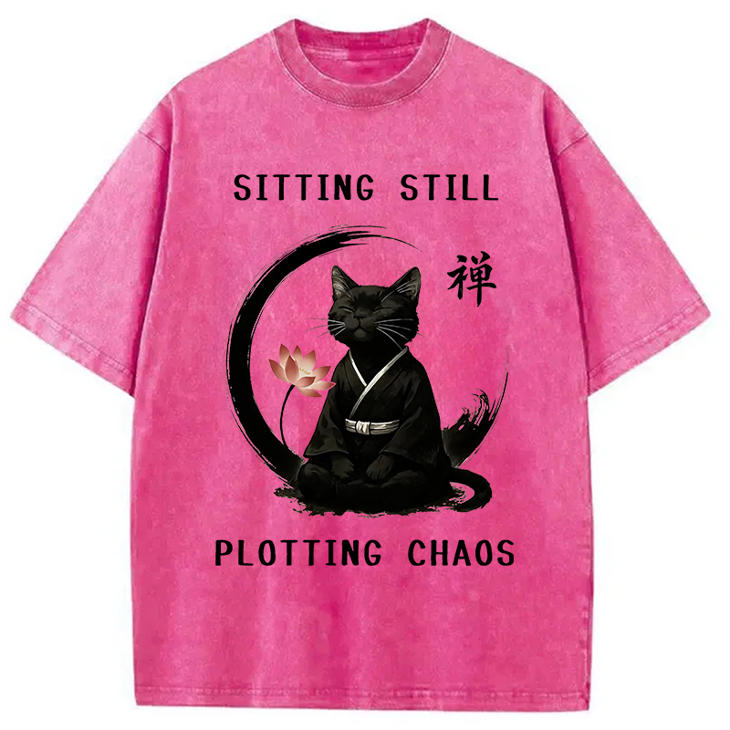 Modecanvas Sitting Calming Zen Cat Washed T-Shirt