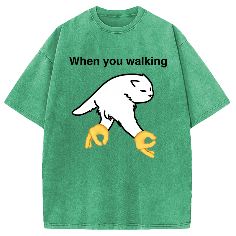 Modecanvas When You Walking Cursed Cat Meme DTG Printing Washed T-Shirt