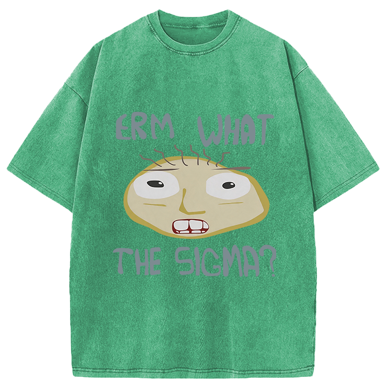 Modecanvas Erm What the Sigma Meme DTG Printing Washed T-Shirt