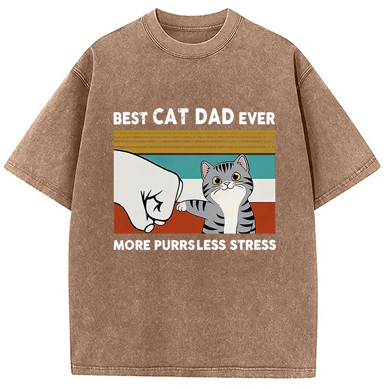 Modecanvas Funny Cat Dad Washed T-Shirt