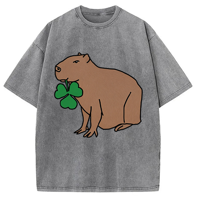 Modecanvas Cute Capybara with Shamrock DTG Printing Washed T-Shirt