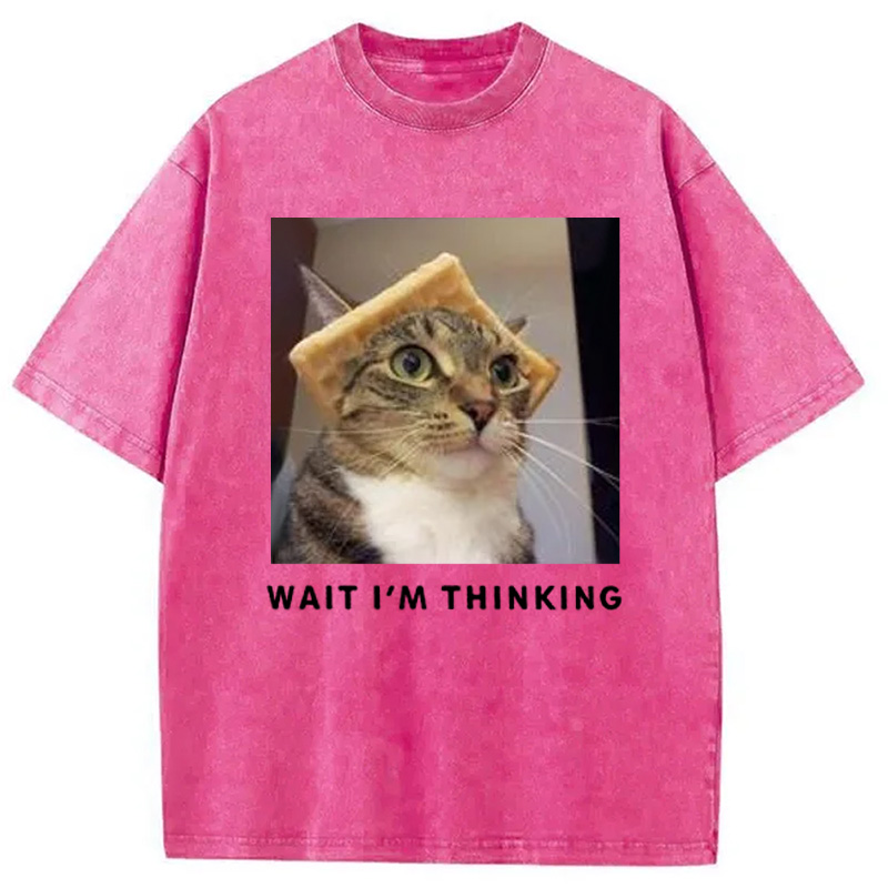 Modecanvas Wait Im Thinking Meme Washed T-Shirt